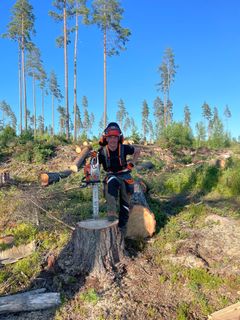 30-vuotias mies, metsässä, kanto ja moottorisaha, aurinkoinen ilma