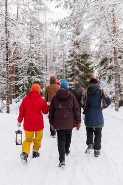Ryhmä ihmisiä kulkee talvisessa metsässä. Yksi kantaa lyhtyä. He osallistuivat Partioaitan 365-klubin tilaisuuteen Nuuksion kansallispuistossa 25.1.2024.