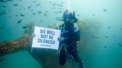 Alkuperäinen Rainbow Warrior sai viimeisen leposijansa Matauri Bayssa, Uuden-Seelannin Cavalli-saarilla. Upotettu laiva on nykyään merieliöstöltään rikas riutta ja suojelualue, joka houkuttelee paikalle myös sukeltajia.