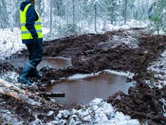 Metsähallitus on kertonut aikovansa hakata Kainuussa useilla suojelullisesti arvokkailla kohteilla.