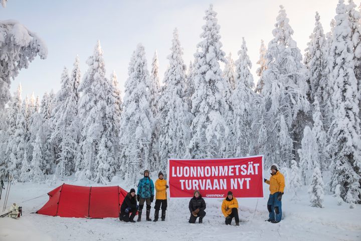 Greenpeace ja Metsäliike partioivat lauantaina Vitikko-Raatevaaran luonnonmetsässä Pudasjärvellä, jossa Metsähallitus on aloittamassa avohakkuut. Kohteella on uhanalaisia lajeja kuten hömötiainen ja kantoraippasammal.