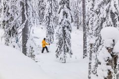 Vapaaehtoiset metsävahdit tarkkailevat luonnonmetsiä, joihin on tehty metsänkäyttöilmoitus. Kuva Portinvaarasta Suomussalmelta valtion metsästä helmikuussa 2026.