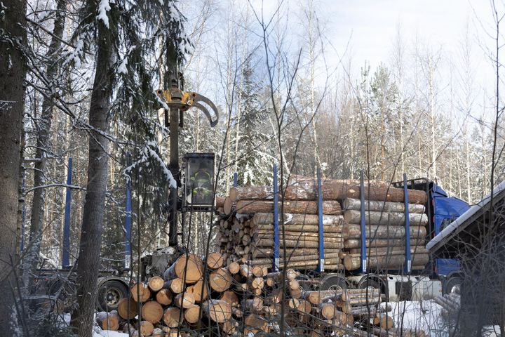 Rekkaa lastataan Oriahteella 25.2.2026, kuva: Jari-Pekka Tamminen/Metsäliike