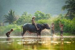 The RSD Group offers excellent cultural tours. For this, it has now been awarded the certificate as a top tour operator