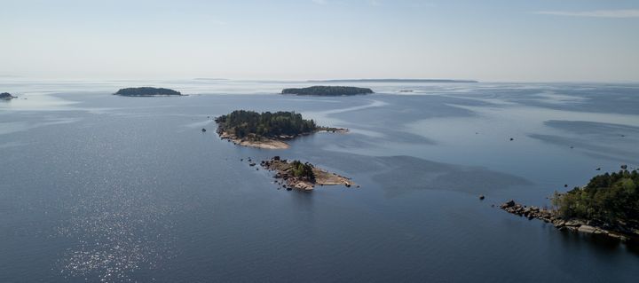 Vibrioosiriski on koholla niin kauan, kun meriveden pintalämpötila säilyy korkeana.