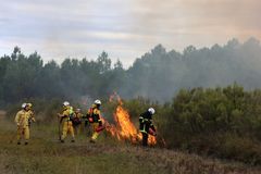 Palomiehet maastopalon harjoituksessa metsäalueella.