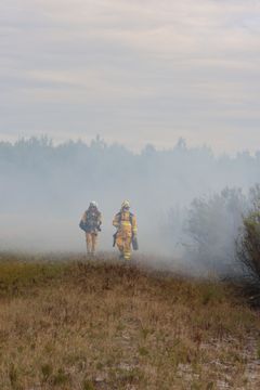 Pelastushenkilökuntaa savuisessa maastossa Ranskan Landesin polttoharjoituksessa.