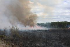 Peltoalueella on savuava metsäpalo ja taustalla näkyy metsä.
