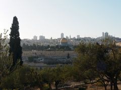 Öljymäeltä avautuva näkymä Jerusalemin vanhaankaupunkiin. Etualalla puita, taustalla kalkkikivinen muuri, rakennuksia ja kultainen kupoli.