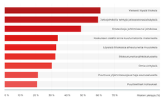 Palkit kuvaavat, kuinka monessa prosentissa selvityksen liki 300 kohteesta kyseinen riski todettiin.