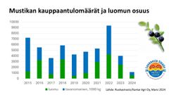 Mustikan kauppaantulomäärät ja luomumustikan osuus kokonaiskeruumäärästä 2015-2024.