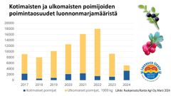 Kotimaisten ja ulkomaisten poimijoiden osuudet kaupallisesti poimituista luonnonmarjamääristä.