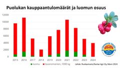 Puolukan kauppaantulomäärät ja luomupuolukan osuus kokonaiskeruumäärästä 2015-2024.