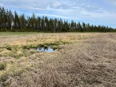 Peat field in Suomussalmi