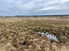Peat field in Suomussalmi
