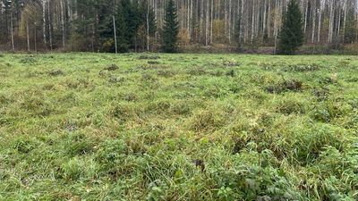 St1 and Valio establish Ekviton Oy to advance emission reductions in Finland