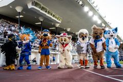 Huuhkajat