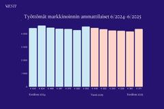 Työttömät markkinoinnin ammattilaiset 6:2024–6:2025