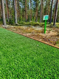 Rata sijaitsee helppokulkuisessa mäntykangasmaastossa.