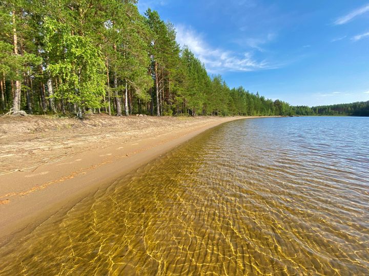 Pistohiekan frisbeegolfrata sijaitsee hiekkarannan läheisyydessä, joten pelien lomassa on helppo pulahtaa matalalla rannalla.
