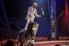 Valkopukuinen mies jongleeraa keiloilla liikkuvan hevosen selässä seisten.