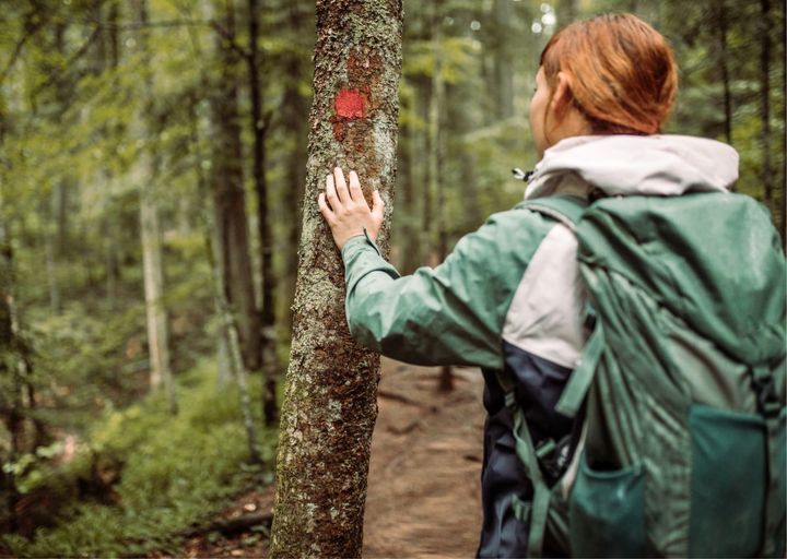 Henkilö vaeltamassa metsässä koskettaa puuta, jossa on punainen reittiopaste.