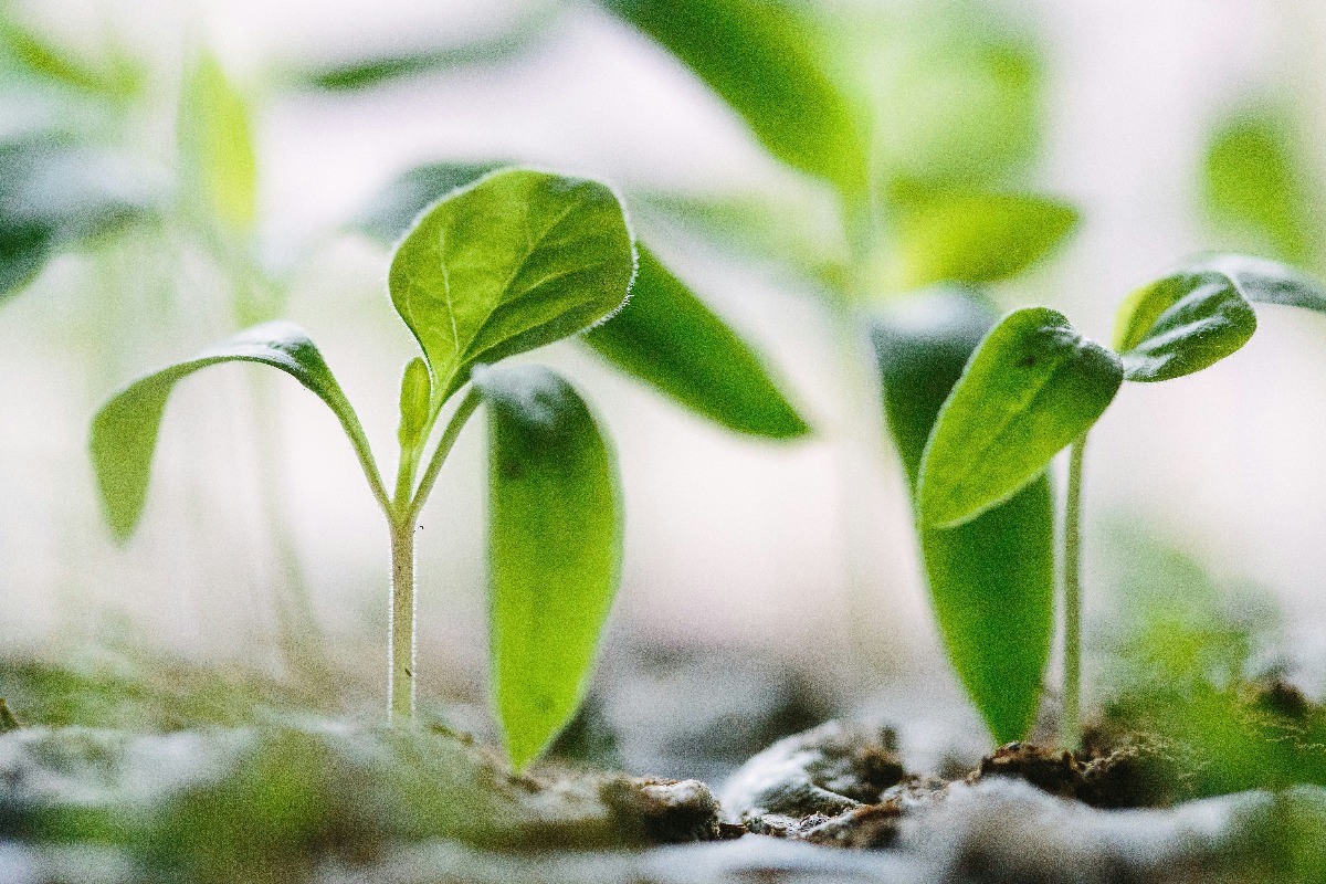 Asiantuntijat: Stigma estää avun hakemista ja lisää yliannostusriskiä