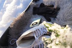 HONOR Magic8 Lite / Luolavisuals / Karri Suonperä