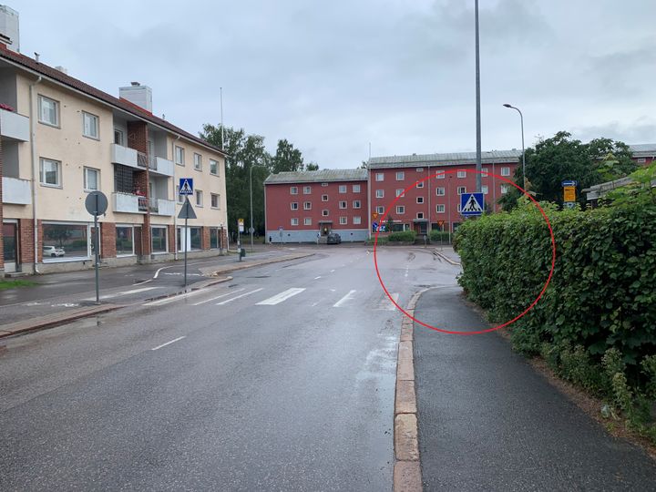 Näkemäeste Haagan Näyttelijäntiellä Helsingissä