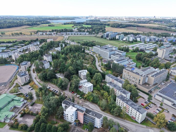 Viikin Talonpojanpuiston kilpailualue ilmakuvassa
