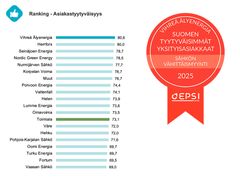 Vihreä Älyenergialla on Suomen tyytyväisimmät asiakkaat.