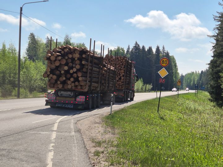 Tukkirekka kesällä valtatiellä 12.
