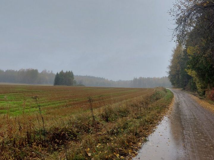 Syksyn sateinen kuva Lahden maaseudulta hiekkatiestä ja pelloista.