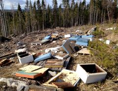Karhun tekemä totaalinen tuho mehiläistarhalla.