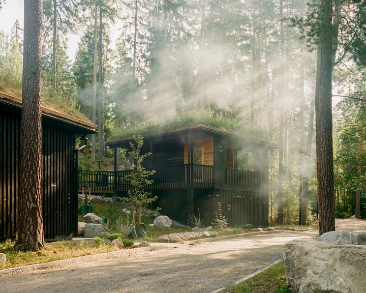 "Från omklädningsrummet går man utomhus för att ta sig till bastun och därifrån vidare till vattnet. Skogens dofter, den svala luften, röken och de mörka träytorna blir en del av en välövervägd ritual. Basturnas sparsamma belysning och slutna dimensioner skapar ett skyddat rum, som tar badaren tillbaka till skogen och sjölandskapet, bedömer Miettinen.