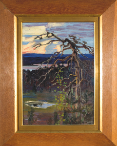 Alt text: "Painting by Akseli Gallen-Kallela titled 'Solitary Pine' from 1906, depicting a lone pine tree against a twilight sky and landscape."