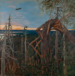 Metsäinen erämaamaisema, jonka oikeassa reunassa on murtunut honka.