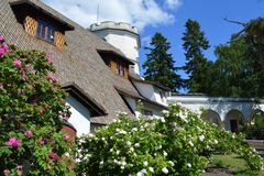 Kesäinen kuva Tarvaspään ateljeehuvilasta ruusuineen.