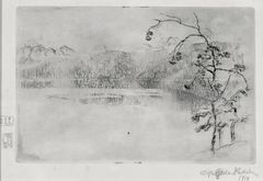 Akseli Gallen-Kallelan mustavalkoinen viivasyövytys "Paanajärvi sumussa" vuodelta 1918. Teoksessa näkyy sumuinen järvimaisema, oikealla etualalla puita.