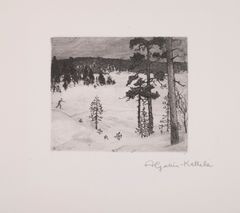 "Talvihämärä" on taiteilija Akseli Gallen-Kallelan mustavalkoinen etsaus vuodelta 1897. Talvimaisemassa näkyy luminen metsä, etualalla puita, takana metsää ja vasemmassa reunassa hiihtäjä.