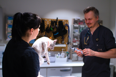 Kuvassa Jenni Björkman, Klinikan johtaja, Toimitusjohtaja (MHc, MSSc) ja klinikan vastaava eläinlääkäri Stefan Björkman (BSc, DVM, PhD, ECAR Diplomate)