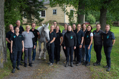 Hyvinkään hevossairaala henkilöstö