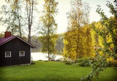 Puinen mökki järven rannalla syksyisessä maisemassa.