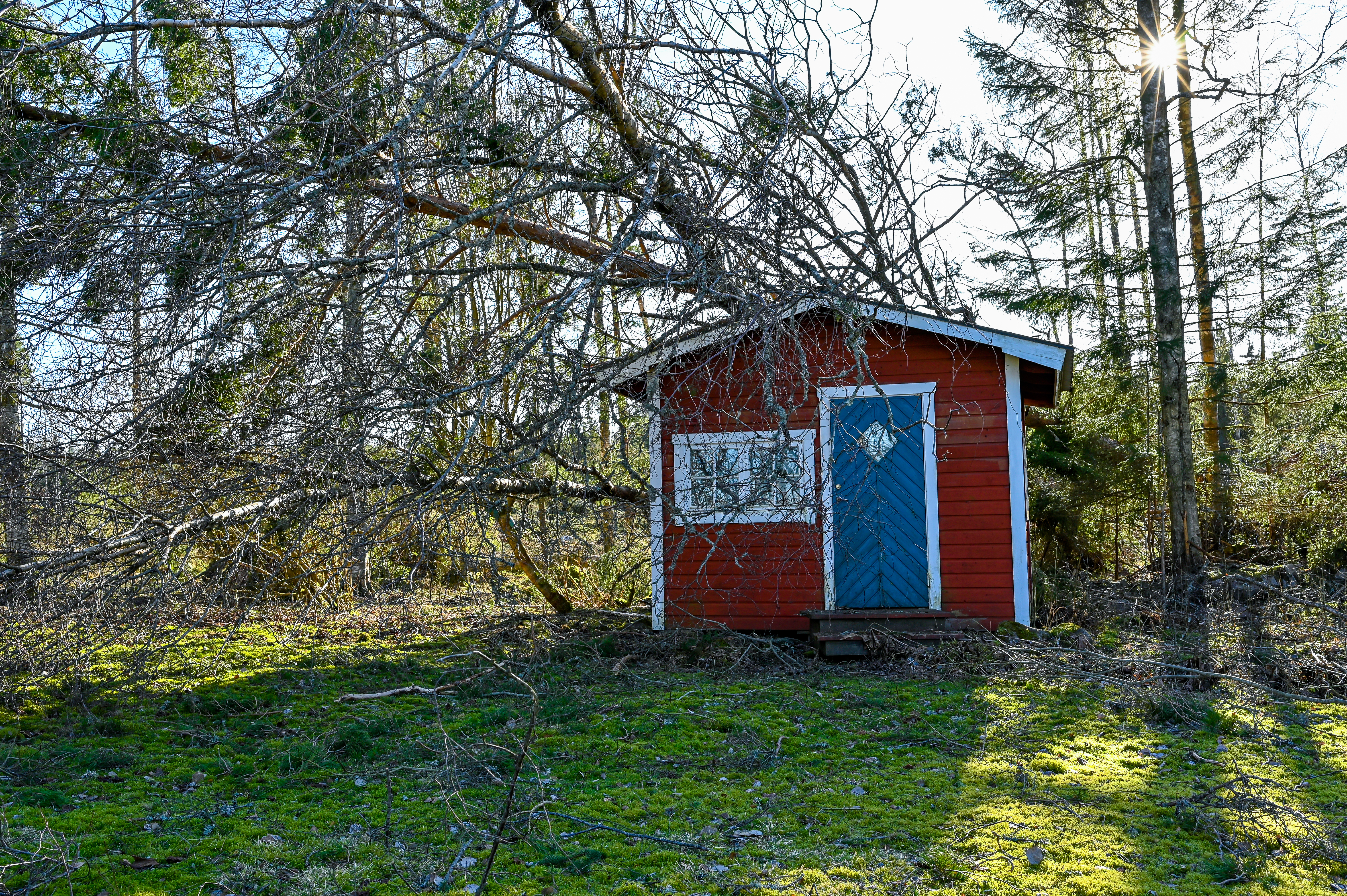 Vakuutusyhtiö muistuttaa varautumisesta kesämyrskyihin