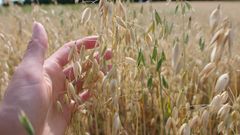 Ympäristöarvoilla ja tuotannon suuremmalla omavaraisuudella on merkitystä tuotantotavan valinnassa.