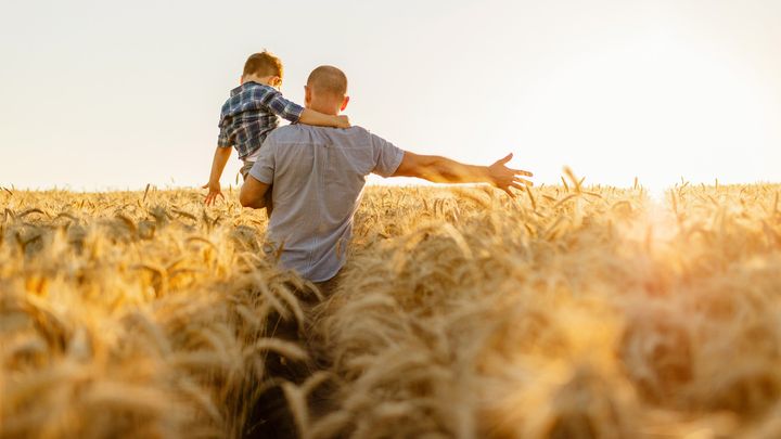 Aikuinen lapsi sylissään viljapellolla