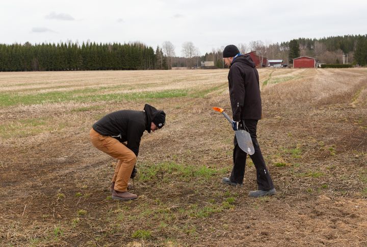 Pellon rakenne määrää kevättöiden ajoituksen, joten sitä kannattaa tutkia.