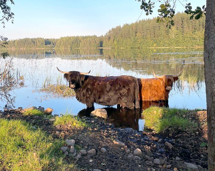 Laidun ulottuu järveen saakka