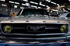 Hopea Ford Mustang auton keula, jossa on kuuluisa hevoslogo, pysäköitynä sisätiloissa.