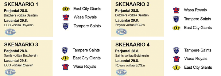 Taistelu%20Vaahteraliigan%20jumbosijan%20v%E4ltt%E4misest%E4